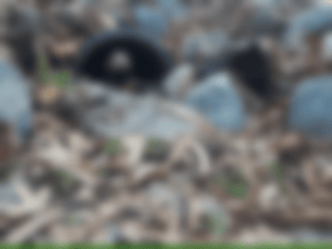 Screen Shot 2023-03-22 at 3.10.54 PM